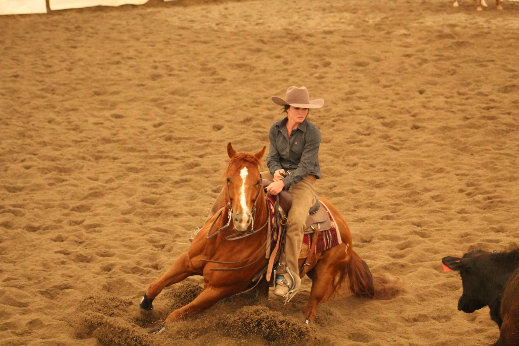 Breanna Jenkins state rodeo